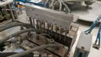 Sarong SAAS model blister forming and sealing machine for suppositories.