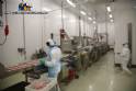 Linha completa para empanados nuggets, bife, tirinhas, hambrguer 500 kg CFS FMC Chiachiera