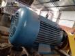 Stainless steel hammer mill 30 hp Tigre