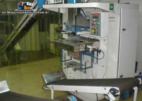 Packing machine Raumak