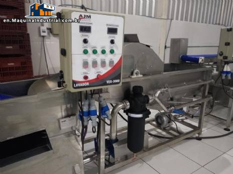 Industrial washer for vegetables and leafy vegetables