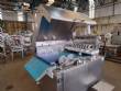 Handtmann stainless steel meatball burger forming machine