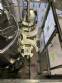 Gravimetric rotary filling machine in stainless steel with cabin