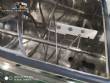 250 kg stainless steel ribbon blender
