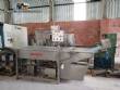 Incalfer double stage continuous stainless steel vegetable washer