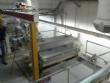 Complete line Braibanti for the production of short pasta