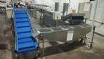 Line for manufacturing fried dough straws for filling Toshiro  Braslaer