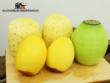 Automatic peeler for pineapple, mango and melon, 250 units per minute Astra