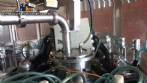 Rotary filling machine Vinox Zegla