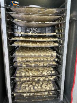 Line for dehydrating fruit