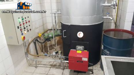 Gas boiler for 250 kg hour