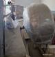 Stainless steel coating machine, 150 kg per hour.